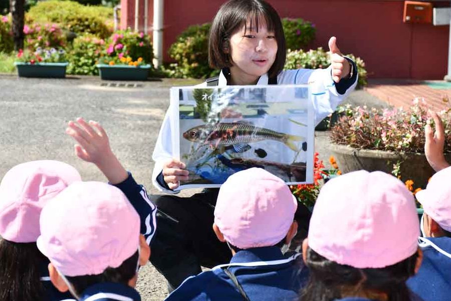 赤磐市立城南小学校