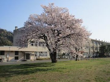 越前市服間小学校