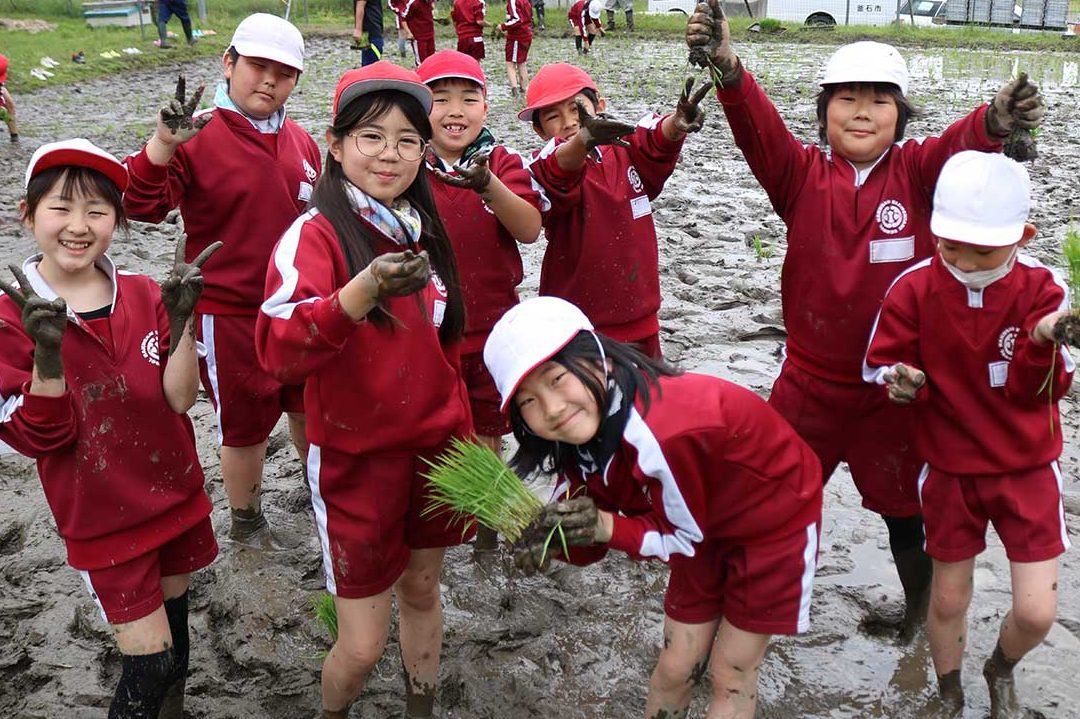 釜石市立白山小学校