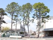 静岡市立葵小学校